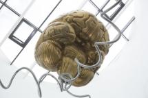 Image 14Brainstorm