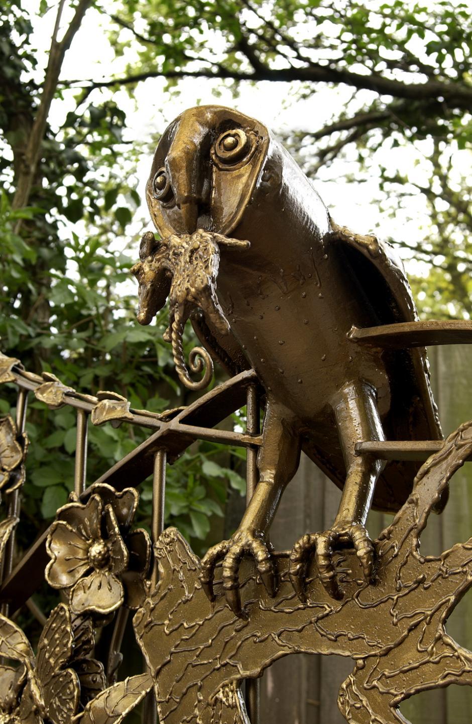 Owl detail