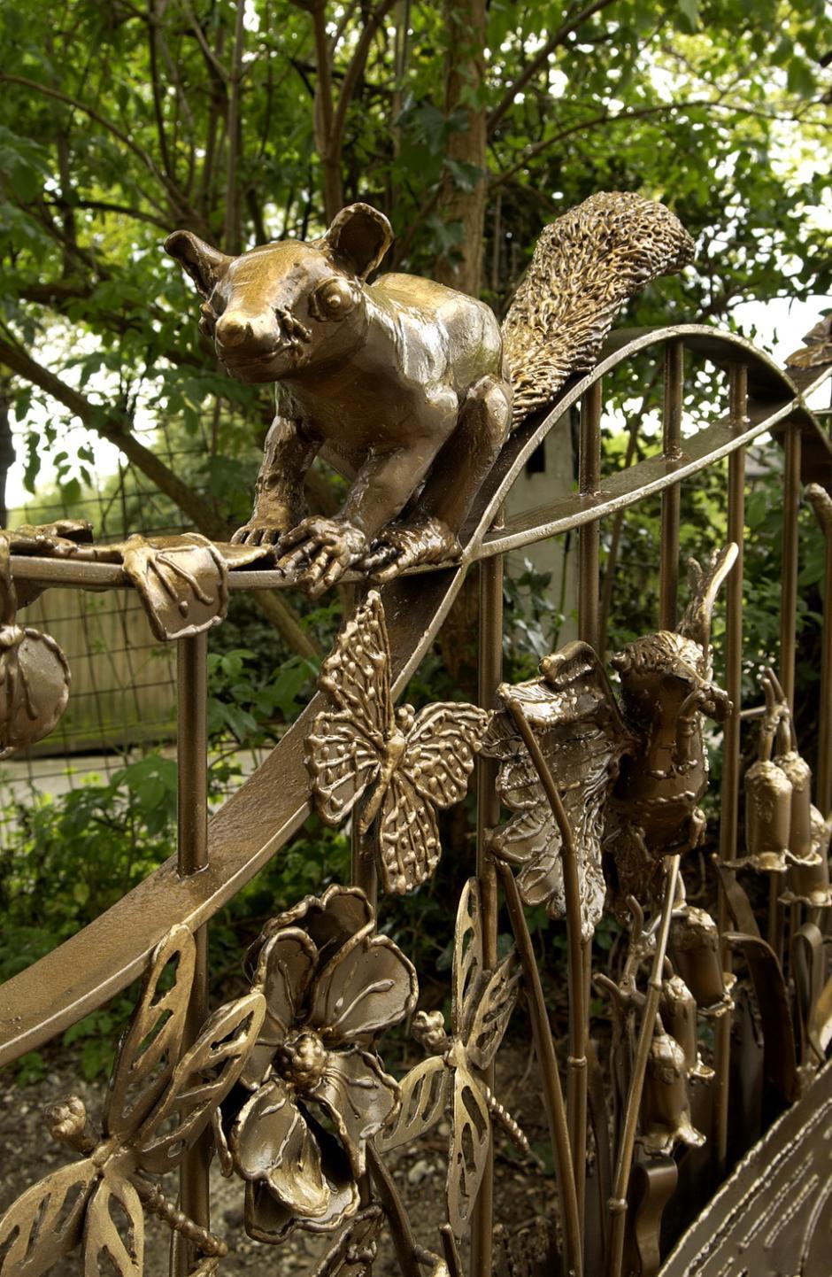 Squirrel detail
