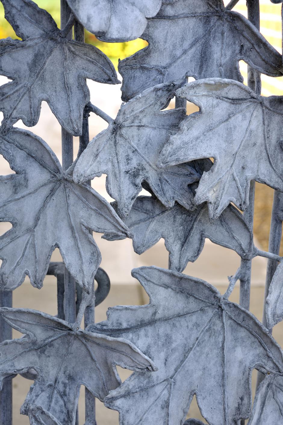 Leaves