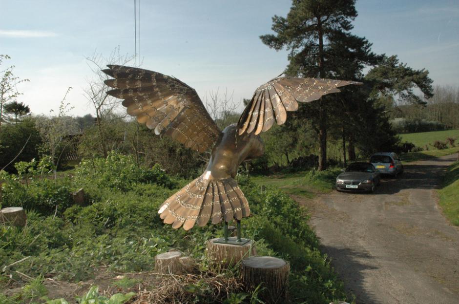 Back of Owl