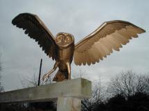 Owl 5Owls