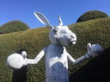 Image 3Splitting Hares